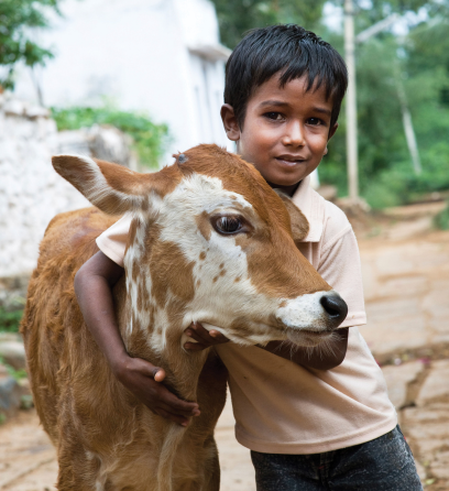 Ultimate farm bundle